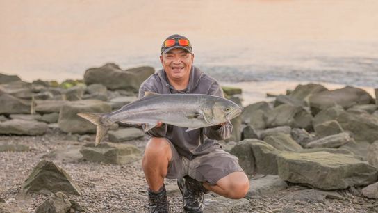Delaware Expands Bluefish Limits for Recreational Anglers (Live in Delaware)